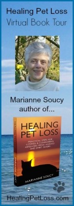 Healing Pet Loss Book Tour Banner 2014