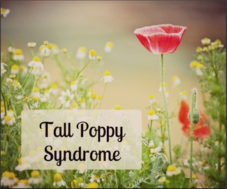 Tall poppy syndrome что это