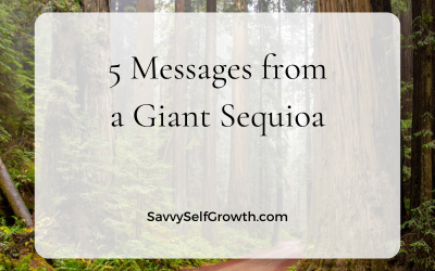 Five Messages from a Giant Sequoia