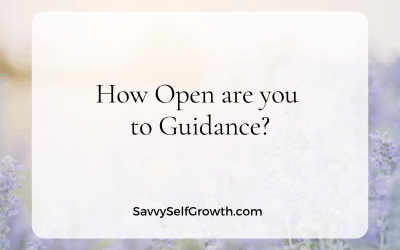 How Open are you to Guidance?